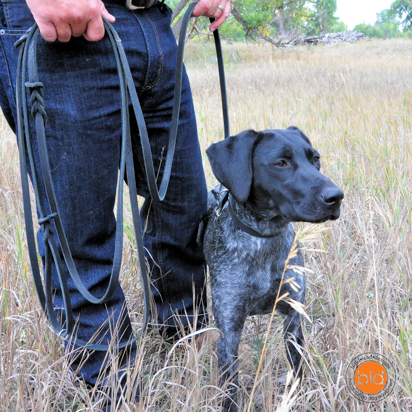 Longline dog lead Clearance