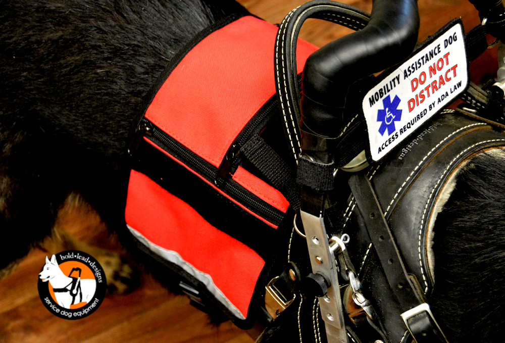 Service Dog Cape/Vest Bold Lead Designs