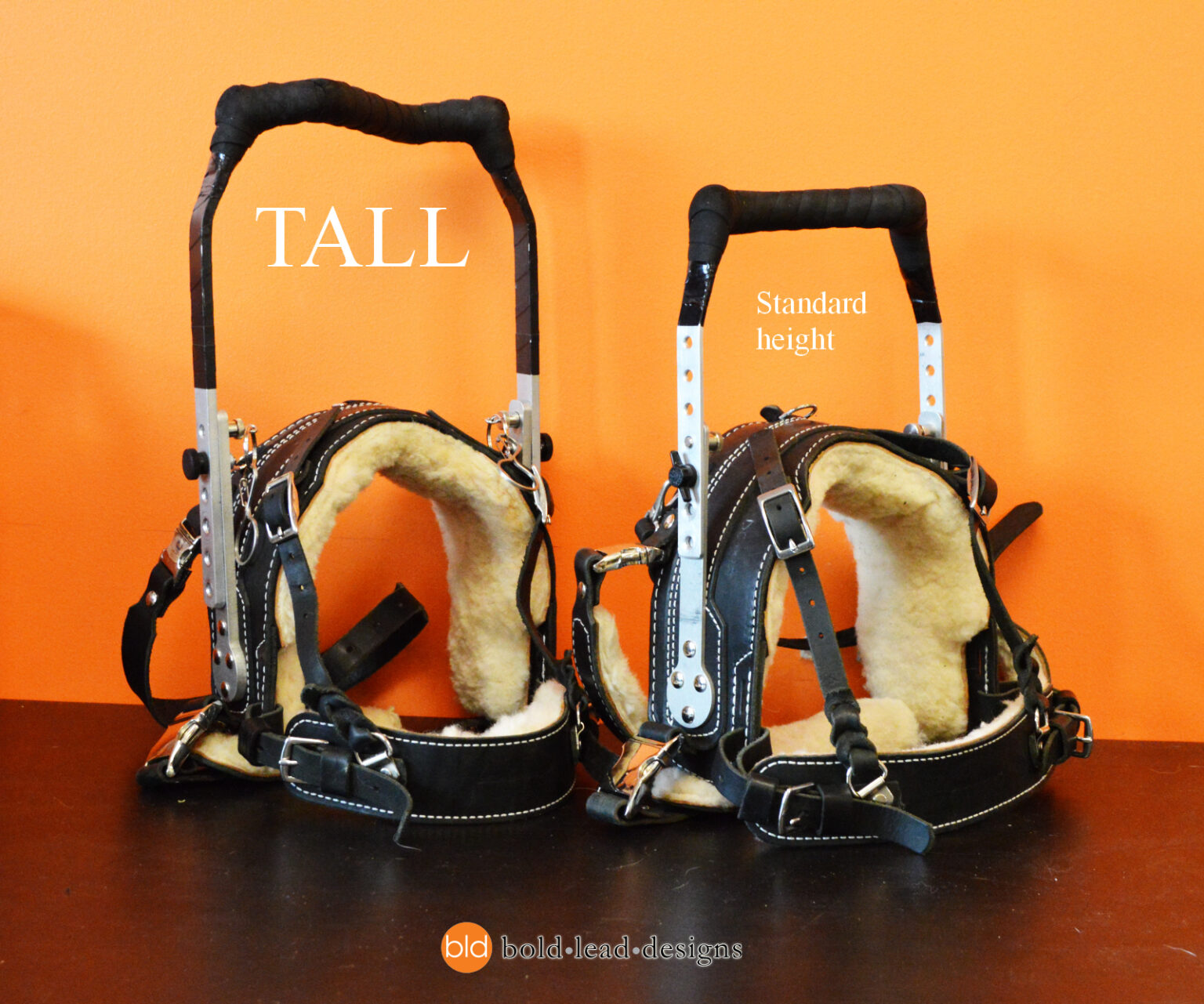 Mobility Support Harness™ for brace and balance stability assistance