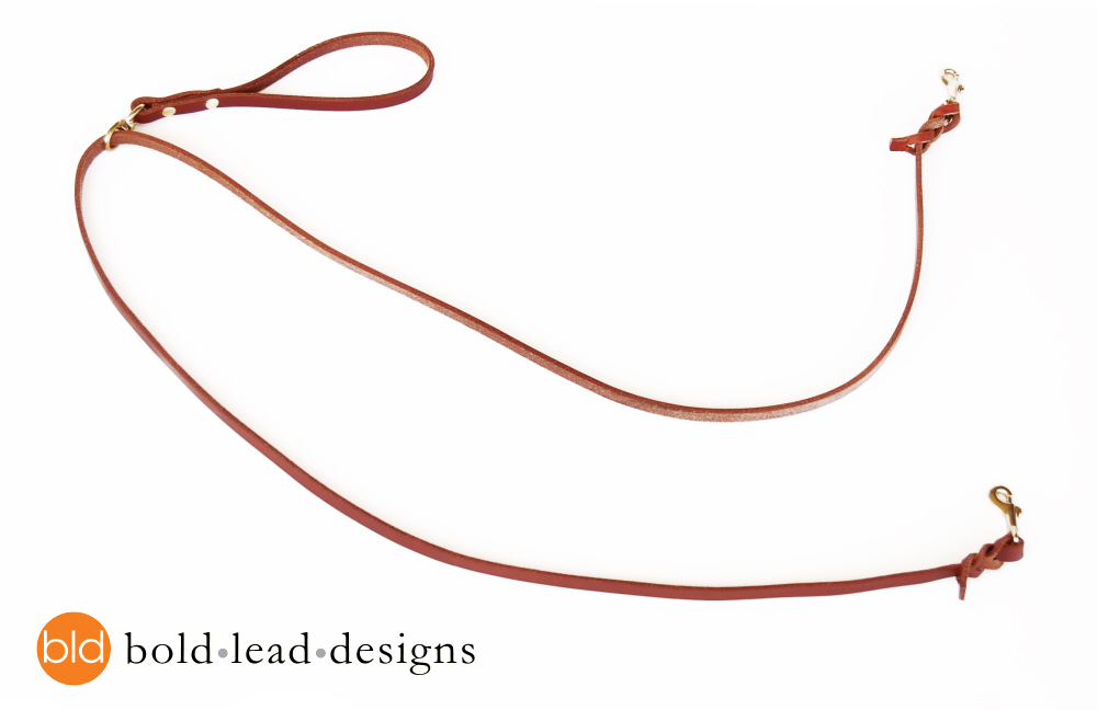 TwoPoint Lead doubleended leash for walking harnesses Bold Lead Designs