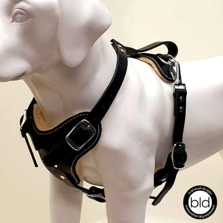 Connected Control™ Harness nopull dog walking harness (2point, front