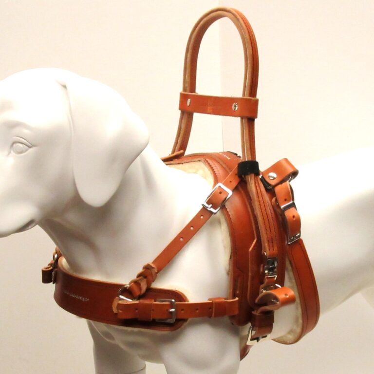 Service Dog Equipment Archives Bold Lead Designs